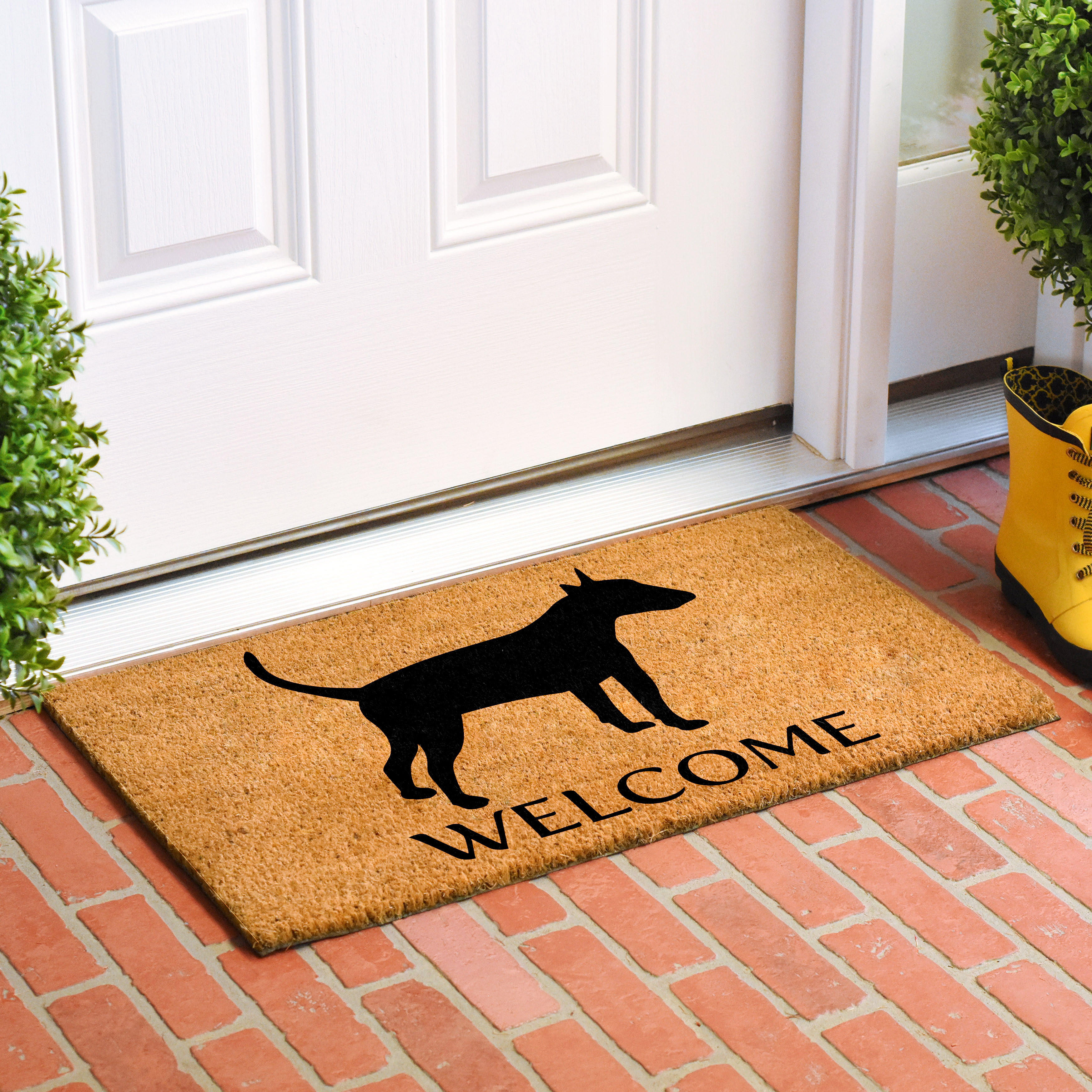 Calloway Mills 107022436 Bull Terrier Doormat 24" x 36"