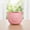 Pink, variant on Zeiwohndc Lovely Pig Face Small Ceramic Planter Great For Growing Succulents Indoor