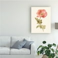 thumbnail image 3 of Trademark Fine Art 'Garden Poppy' Canvas Art by Danhui Nai, 3 of 3