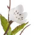 thumbnail image 2 of Bouclair Green Artificial Cherry Blossom Stem, 2 of 2