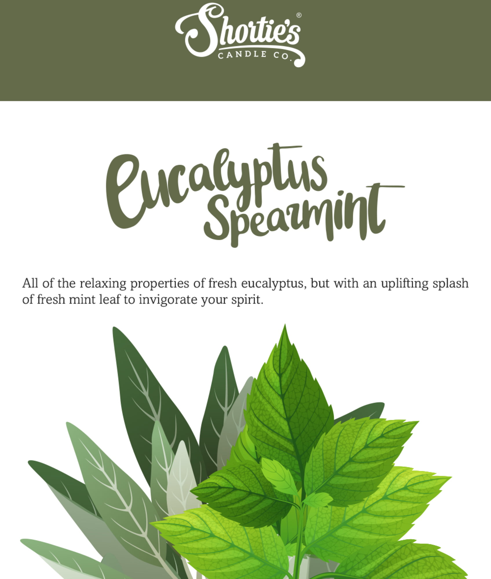 Peppermint & Eucalyptus Wax Melts Scented Wax Melts for Warmer