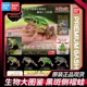 thumbnail image 2 of Enciclopedia biológica Bandai Gashapon Adornos de animales simulados Modelo coleccionable móvil Rana de pliegue lateral con manchas negras Rana, 2 of 5