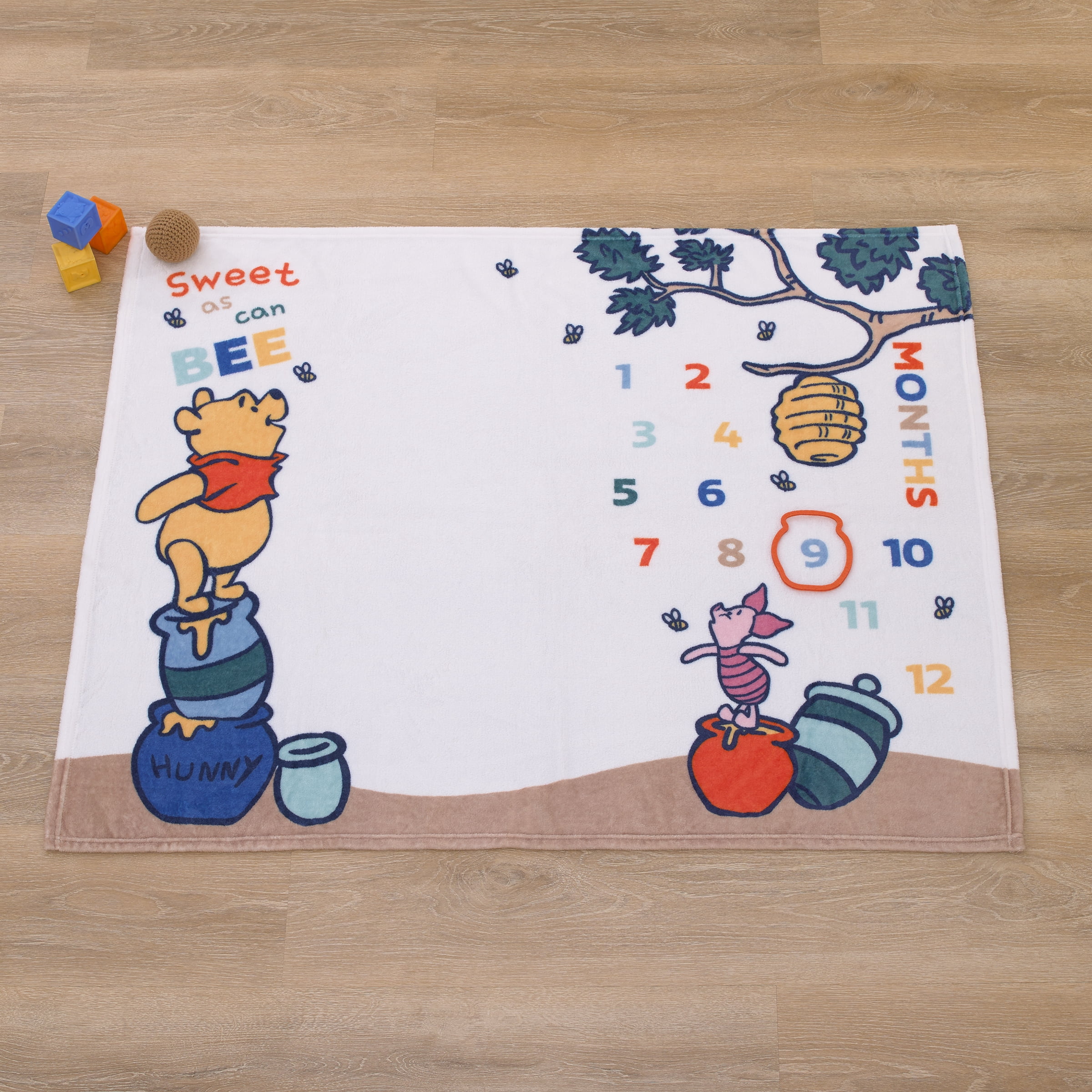 Disney Winnie the Pooh Photo Op Milestone Baby Blanket