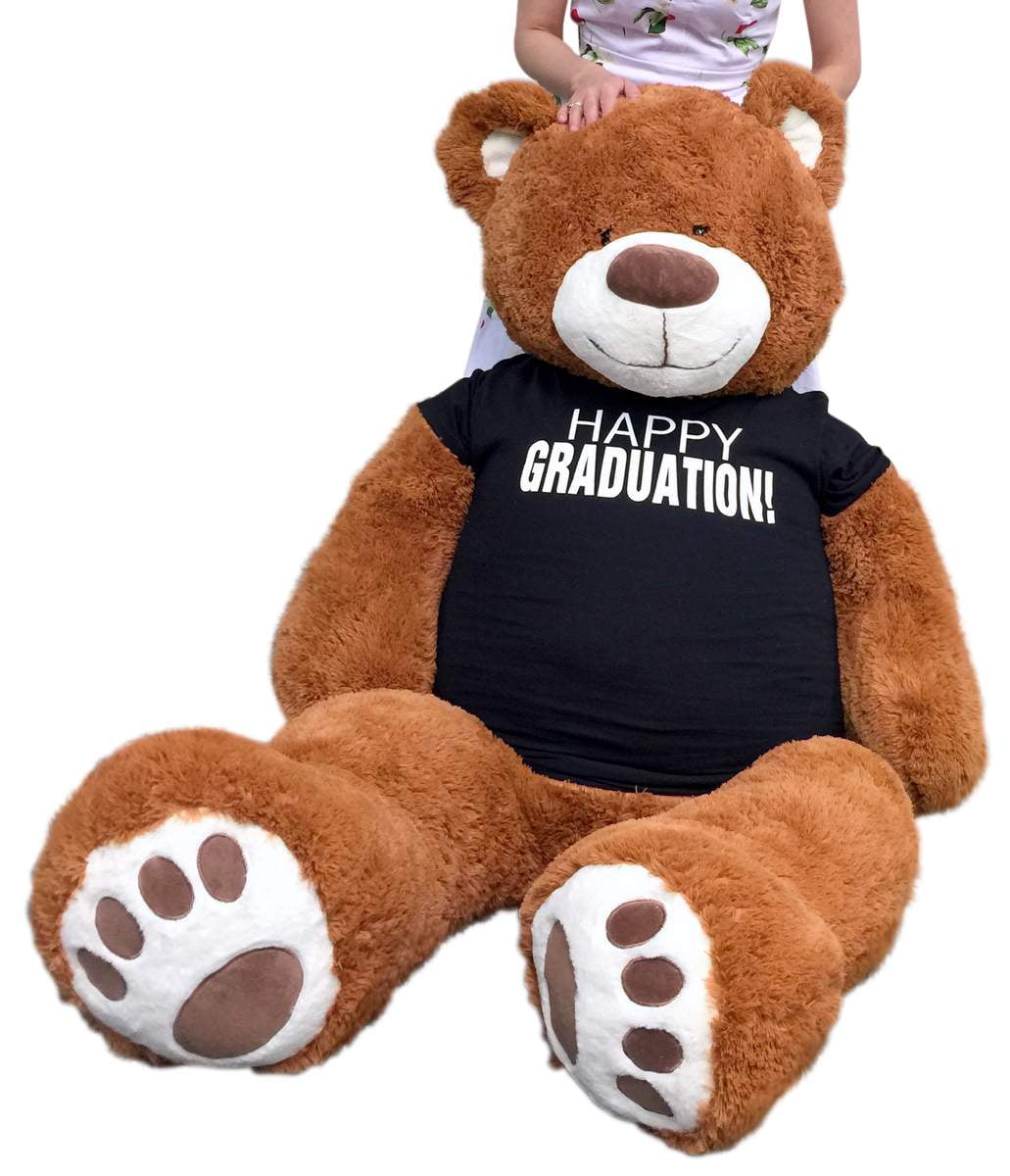 graduation teddy bear walmart