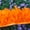 H, variant on Wall hangs,100cm 10 To 13CM Turkey Feather Trim Fringe For Home Decor Sewing Craft Decoration