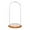 Oak Veneer Base, variant on Plymor 9.75" x 20" Glass Display Dome Cloche (no Base)