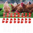 thumbnail image 3 of Góggle de Pollo, Copas de Pollo fácil de Usar de 1000 Conjunto de PlásTico Ancho de Aplicacia Sin Dolor para Granja de Aves de Corral para Criar Granja, 3 of 7