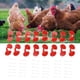thumbnail image 3 of Gafas de pollo gafas de pollo fáciles de usar amplia aplicación anti picoteo con tapones para granja de cría para granja avícola ANGGREK Otros, 3 of 8