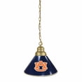 thumbnail image 4 of Bemidji State University Pendant Light with Brass Fixture, 4 of 7