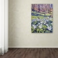 thumbnail image 3 of Trademark Fine Art "Anemones in the Meadow" Canvas Art by David Lloyd Glover, 3 of 3