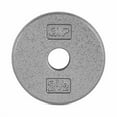 thumbnail image 1 of CAP Barbell Standard 1-Inch Cast Iron Weight Plate, 2.5 lb, Single, Grey, 1 of 3