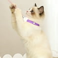 thumbnail image 2 of Collier Interactif Intelligent pour Chat avec Lumières DEL Portables pour Exercice Intérieur et Amusement, 2 of 5