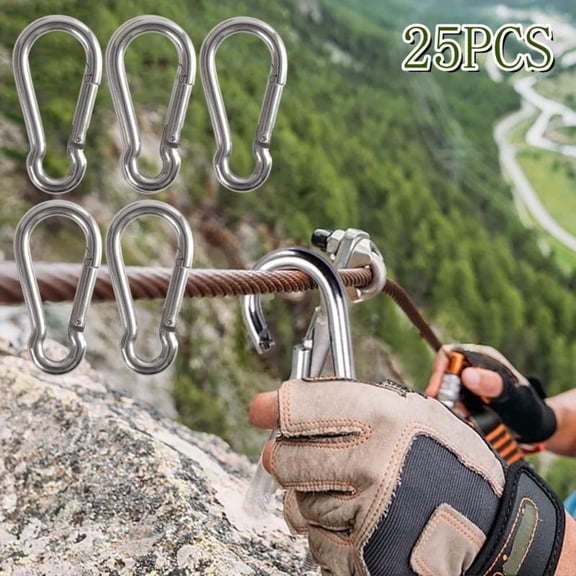 Small Carabiner Clip Hooks,25Pcs 1.97 inch Carabiners Heavy Duty,304 Stainless Steel Spring Snap Hook Fits Camping Hiking,Metal Clips for Rope Chain Keys Rings