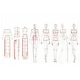 thumbnail image 1 of Fashion Illustration Rulers Sketching Templates Ruler Sewing Humanoid Patterns Design Clothing Measuring,Combination, 1 of 8