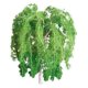 thumbnail image 1 of JTT94270 Sauce llorón 3 '' Pro / paq. De 2 JTT Scenery Products 734560942707, 1 of 1