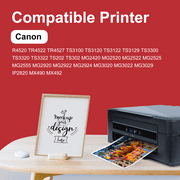 245XL 246XL Ink Cartridge Compatible for Canon Ink 245 and 246 for PIXMA MG2522 TS3122 MX490 TR4520 Printer ( Black, Tri-Color)