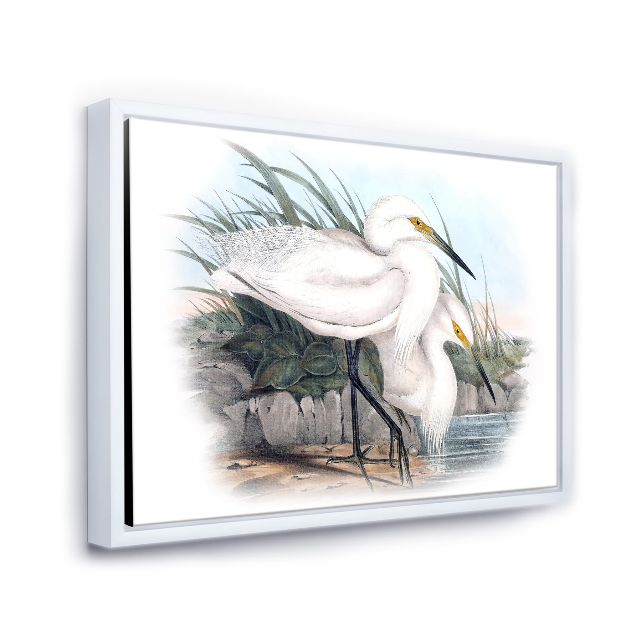 Designart 'Ancient Bird Life I' Traditional Framed Canvas Wall Art Print