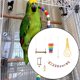 thumbnail image 3 of de juguetes para loros de 7 Uds., jaula de escalera para mascotas, accesorios para periquitos y pájaros, juguetes colgantes, columpio para, 3 of 9