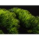thumbnail image 3 of Árbol de bonsái artificial en maceta de cerámica cuadrada, simulación de pino de bienvenida, planta verde en maceta grande, pino falso bonsái for decoración interior/exterior, 3 of 5