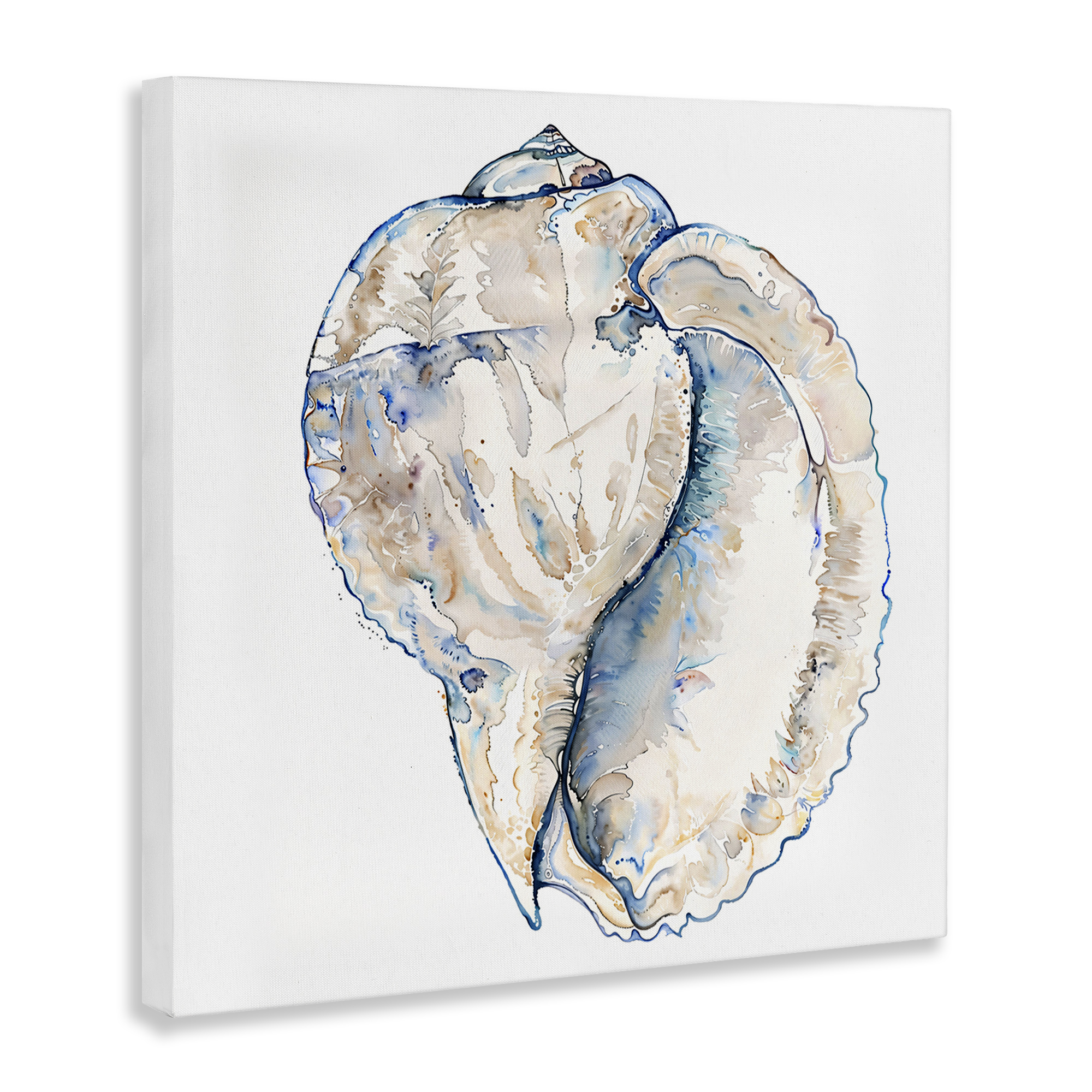 Stupell Industries Conch Shell on White Coastal Painting Gallery Wrapped Canvas Art Print Wall Art, 24 x 24