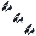 thumbnail image 2 of Shengyu Halloween Party Decoration - Clear Texture And Festive Ambiance Simulation Crow three-piece 3Set, 2 of 6