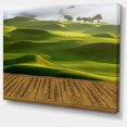 thumbnail image 2 of Golf Course with Wooden Path - Landscape Canvas Art Print, 2 of 4