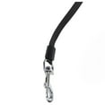 thumbnail image 2 of Regatta Laisse pour Chien Extensible, 2 of 4