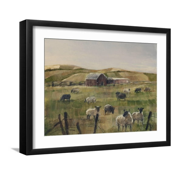 Art.com Grazing Sheep II Art Print by Ethan Harper, Black Frame Wall Art, 21" x 17"
