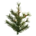thumbnail image 2 of Vickerman 10' Mixed Country Pine Artificial Christmas Tree, Clear Dura-Lit® Mini Lights, 2 of 6