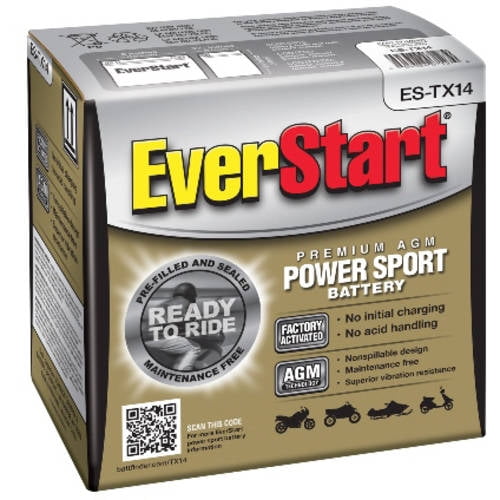 EverStart PowerSport Battery, ESTX14