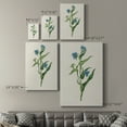 thumbnail image 4 of Flowers of the Seasons V Premium Gallery Wrapped Canvas - Ready to Hang, 4 of 9
