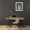 thumbnail image 3 of Burghardt, James 26x32 White Modern Wood Framed Museum Art Print Titled - Jewel Ferns IV, 3 of 4
