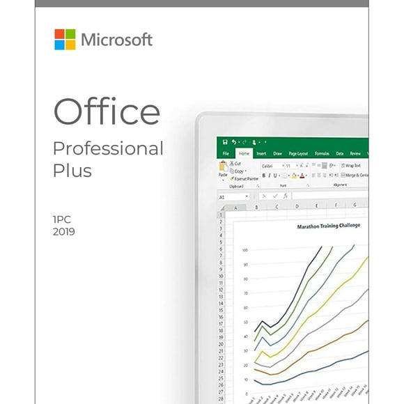 Office 2019 Professional Plus DVD