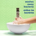 thumbnail image 5 of Softsoap Antibacterial Sensitive Liquid Hand Soap, 332 mL Bottle, 332 mL Bottle, 5 of 5