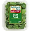 Earthbound Farm® Organic Baby Kale 5oz Tray