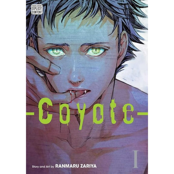 Coyote Coyote, Vol. 1, Book 1, (Paperback)