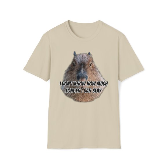 I Don't Know How Much Longer I Can Slay, Gildan Unisex T-Shirt, Meme, S-3XL