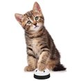thumbnail image 3 of 2 pieces training bells for pets potty training with paw pattern, 3 of 5