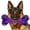 1 PC-Bacon-Purple, variant on Tough Dog Toys for Aggressive Chewers: Beef Flavored Long Lasting Dog Bones for Large Dogs, Indestructible Dog Chew Toys to Keep Them Busy, Large Dog Toys for Medium & Large Breed