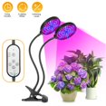 thumbnail image 2 of Luz De Crecimiento De Plantas Led, Luz De Crecimiento De Plantas Con Control Remoto Para Sala De Estar, Oficina, Interior matsuzay HA025672-02, 2 of 7