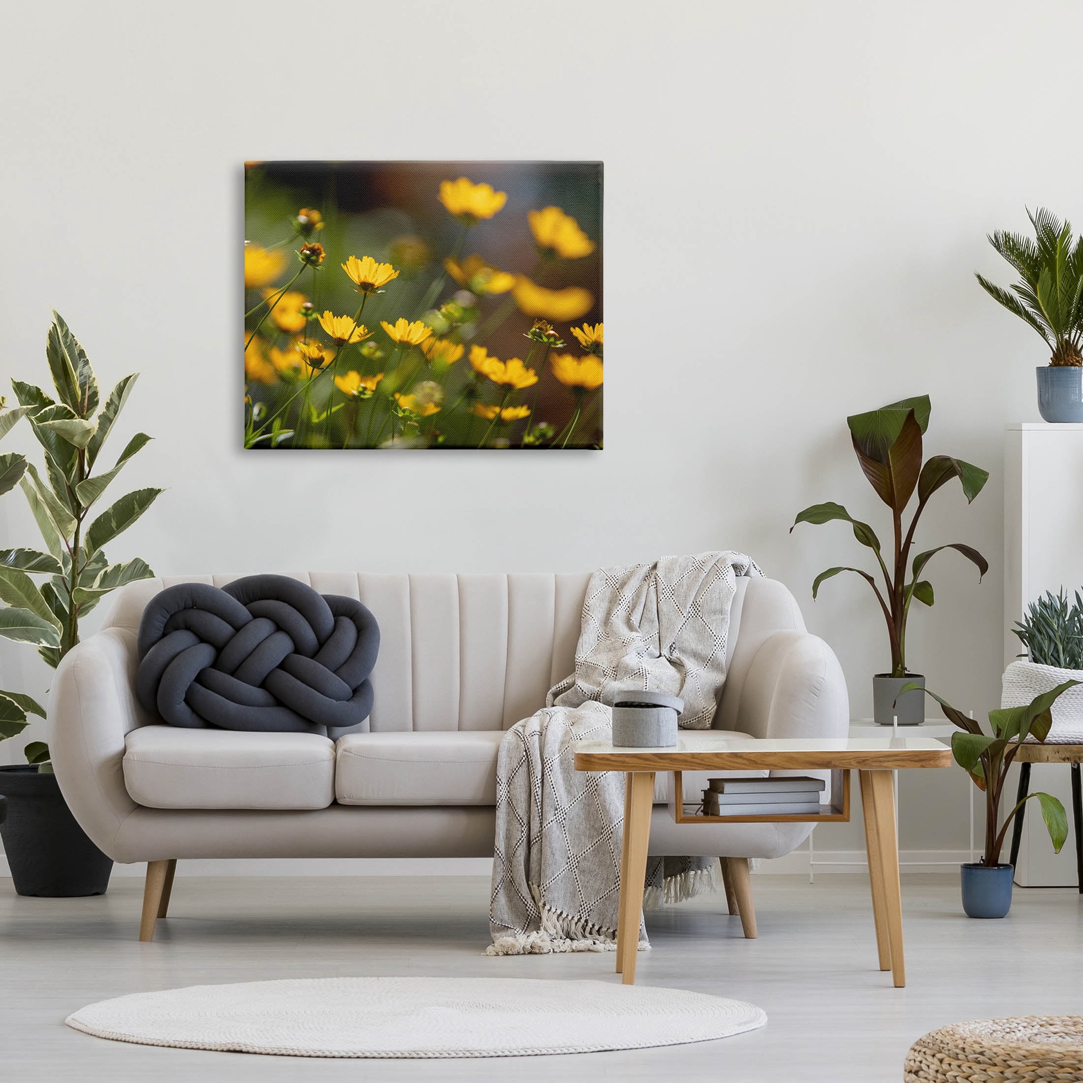 Yellow Daisy Wildflower Field Botanical & Floral Photograph Gallery Wrapped Canvas Print Wall Art