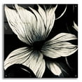 thumbnail image 1 of Epic Art 'Flowers Black White 10' by Ray Heere, Acrylic Glass Wall Art, 36"x36", 1 of 8
