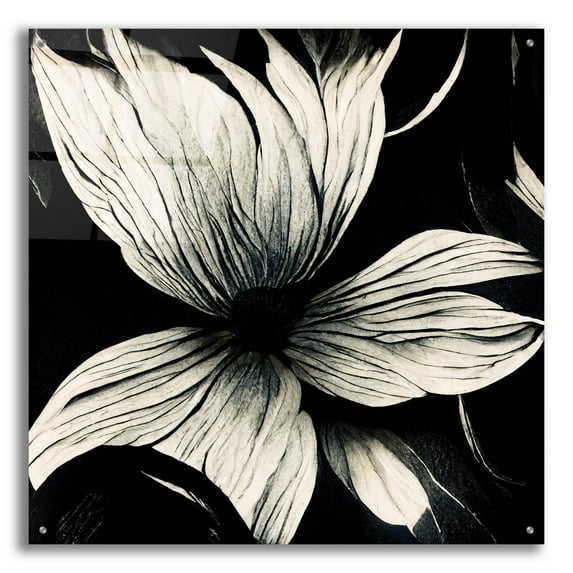 Epic Art 'Flowers Black White 10' by Ray Heere, Acrylic Glass Wall Art, 36"x36"