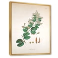 thumbnail image 3 of Designart 'Ancient Botanicals XIII' Farmhouse Framed Canvas Wall Art Print, 3 of 5