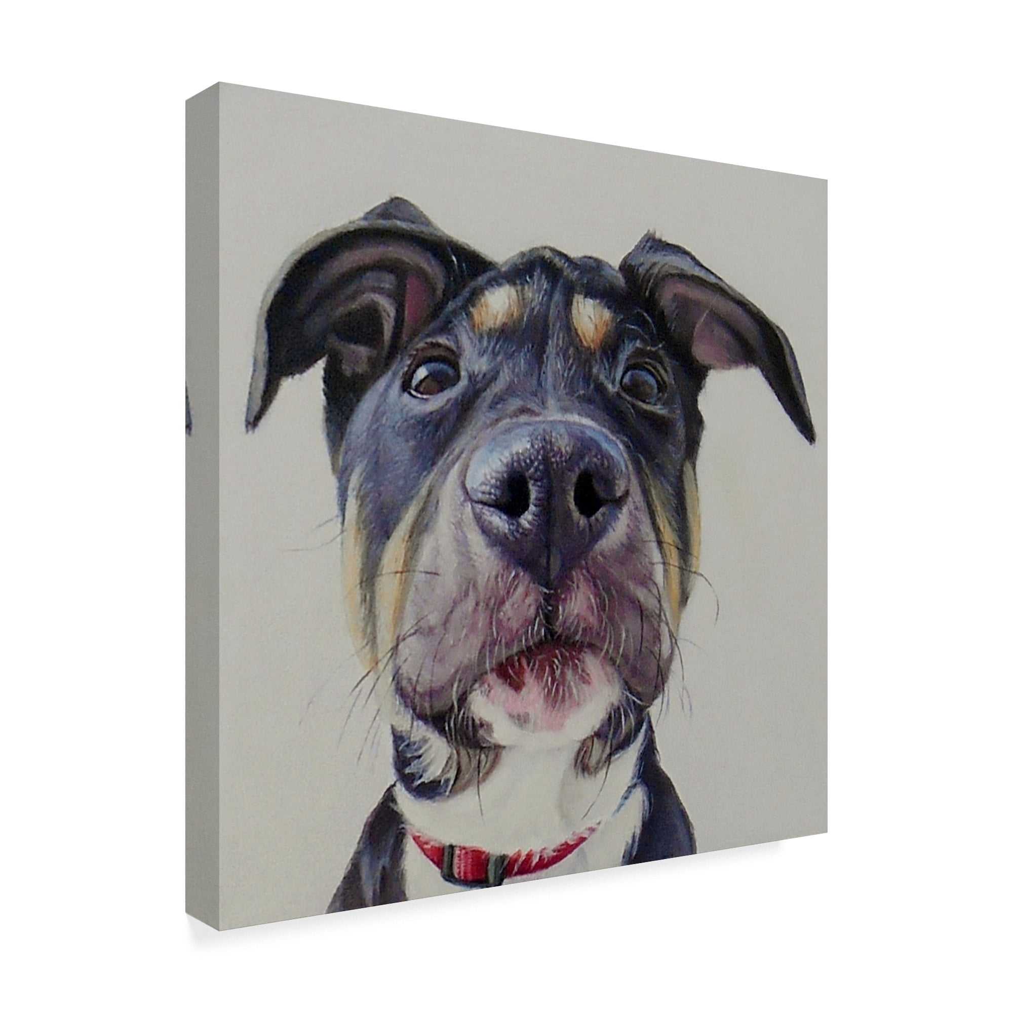 Trademark Fine Art 'Hank' Canvas Art by James Ruby