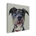 thumbnail image 2 of Trademark Fine Art 'Hank' Canvas Art by James Ruby, 2 of 3