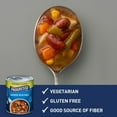 thumbnail image 4 of Progresso Vegetable Classics, Garden Vegetable Canned Soup, 19 oz., 4 of 15