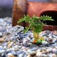 thumbnail image 1 of COOPHYA Artificial Aquarium Plants for Saltwater Environment in Realistic Design 1Pcs, 1 of 6