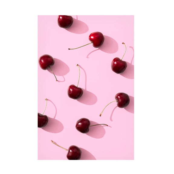 Trademark Fine Art Pictufy Studio Cherries On Pink Background Canvas Wall Art