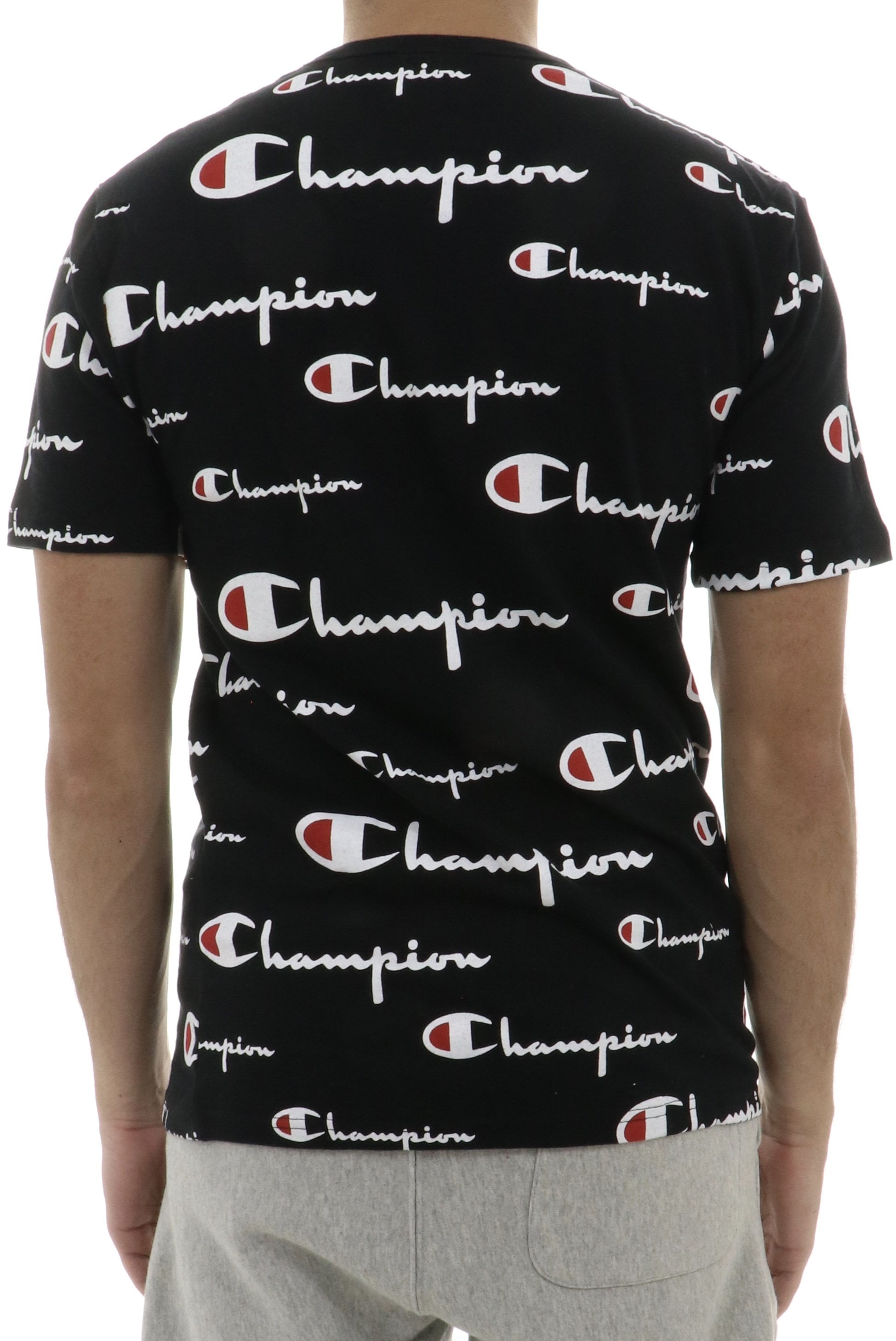 champion t1919s